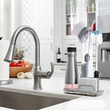 Soap Dispenser Dish Brush Scrubber