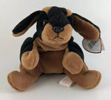 Doby the Dober Pinscher