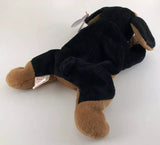 Doby the Dober Pinscher