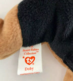 Doby the Dober Pinscher