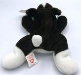 BRUNO the Bull Terrier