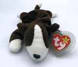 BRUNO the Bull Terrier