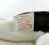 BRUNO the Bull Terrier