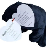 CINDERS the Black Bear