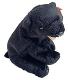 CINDERS the Black Bear