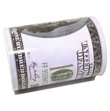 Ben Franklin $100 Bill Money Coin Saver