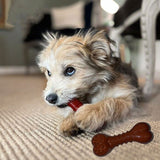 Nylabon Power Chew Basted Blast Dog Toys