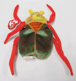 SCURRY the Beetle BUG