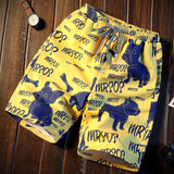 Men's summer quick-dry loose Beach pants