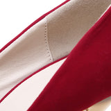 Aneikeh Sexy Pumps Women Fetish Shoes High Heel Stripper Flock Pumps 16 cm Zapatos Mujer