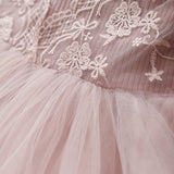 Girl Clothes Kids Dresses For Girls Lace Flower Party Dress