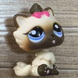 Rare pet shop lps toy 5 black white 1498 old animal toys for children