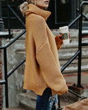 Women Turtleneck Sweaters Winter Pull Jumpers sweater
