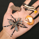 Simulation Animals Growth Life Cycle Models Figure Educational Toy