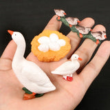 Simulation Animals Growth Life Cycle Models Figure Educational Toy