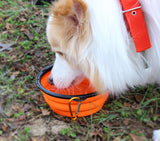 Travel Silicone Bowl Portable Foldable Collapsible Pet Bowl