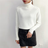 SURMIITRO Knitted Sweater Turtleneck Long Sleeve