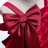 Princess Dress for Baby Girl Flower Elegant Winter Party Dress