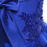 Princess Dress for Baby Girl Flower Elegant Winter Party Dress