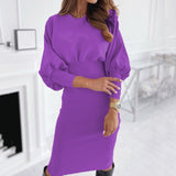 O-neck Long Sleeve Pencil Dress Bodycon Elegant Dress