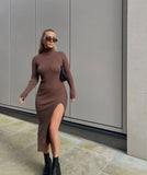 Women Long Sleeves High-Neck Elastic Midi Dress Knit Sweater Dress