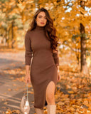 Women Long Sleeves High-Neck Elastic Midi Dress Knit Sweater Dress
