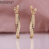 Single Row Micro-wax Inlay Natural Zircon Long Earrings  Gold Women