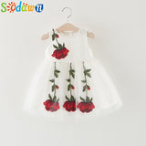Sodawn Baby Girls Dress Autumn and Winter Girls