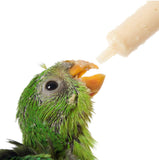 INJECTABLE PASTRY SYRINGE