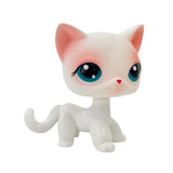 Rare pet toy Mini Stands Short Hair Kitten Old Figures Collection Original Bobble head toy lps