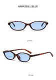 Women's Leopard Retro Oval Sunglasses Small Frame UV Eyewear