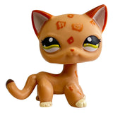 Rare pet toy Mini Stands Short Hair Kitten Old Figures Collection Original Bobble head toy lps