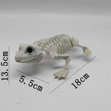 Halloween Animal Skeleton Bones Creepy Bat Mouse Lizard Decor Props