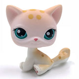 Rare pet toy Mini Stands Short Hair Kitten Old Figures Collection Original Bobble head toy lps
