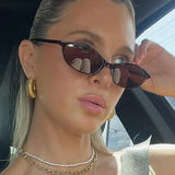 Women's Leopard Retro Oval Sunglasses Small Frame UV Eyewear