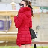 Slim Fur Hood Puffer Long Sleeve Down Winter Jacket, Coat for Women