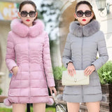 Slim Fur Hood Puffer Long Sleeve Down Winter Jacket, Coat for Women
