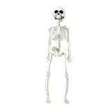 Halloween 30cm Posable Skeleton Prop Horror Skull Party Decoration