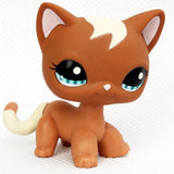 Rare pet toy Mini Stands Short Hair Kitten Old Figures Collection Original Bobble head toy lps