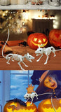 Halloween Animal Skeleton Bones Creepy Bat Mouse Lizard Decor Props