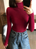 Women’s Ribbed Turtleneck Sweater Long Sleeve Warm Knit