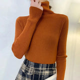 Women's High-Neck Knitted Turtleneck Slim-Fit Long-Sleeve Anti-Pilling Casual Elegant Plain Sweater