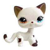 Rare pet toy Mini Stands Short Hair Kitten Old Figures Collection Original Bobble head toy lps