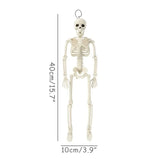 Halloween Animal Skeleton Bones Creepy Bat Mouse Lizard Decor Props