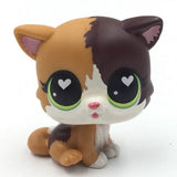 Rare pet toy Mini Stands Short Hair Kitten Old Figures Collection Original Bobble head toy lps