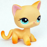 Rare pet toy Mini Stands Short Hair Kitten Old Figures Collection Original Bobble head toy lps