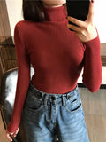 Women's High-Neck Knitted Turtleneck Slim-Fit Long-Sleeve Anti-pilling Casual Elegant Plain Sweater