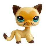Rare pet toy Mini Stands Short Hair Kitten Old Figures Collection Original Bobble head toy lps