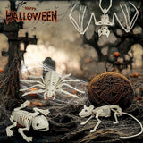 Halloween Animal Skeleton Bones Creepy Bat Mouse Lizard Decor Props