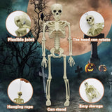 Halloween Animal Skeleton Bones Creepy Bat Mouse Lizard Decor Props